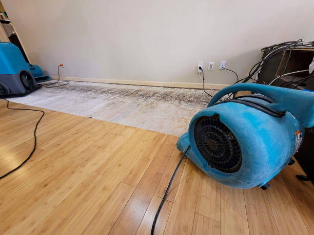 Professional Basement Flood Cleanup technician working in Paris, MO